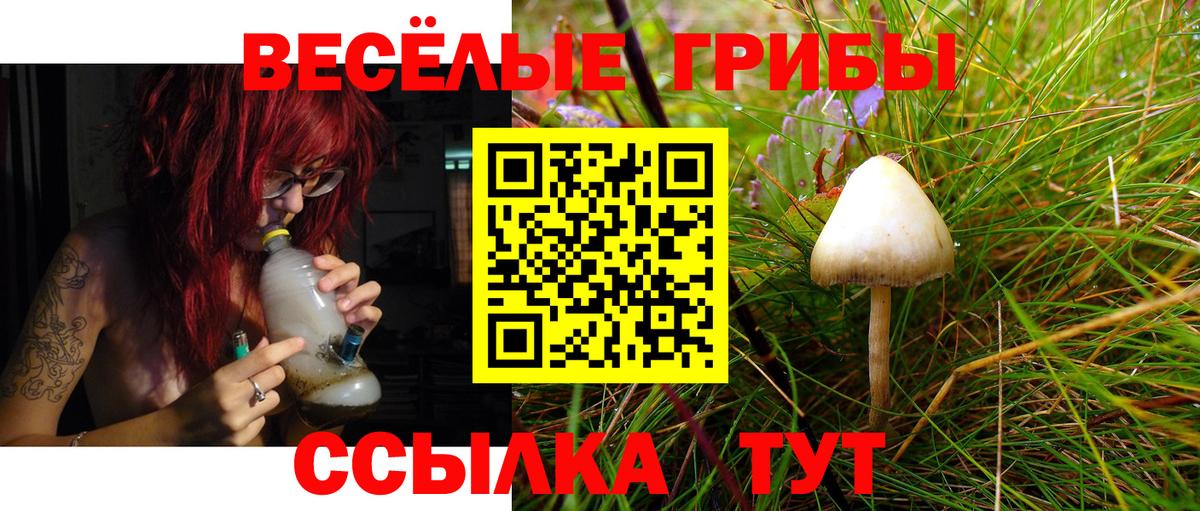 Псилоцибиновые грибы прущие грибы  Псилоцибиновые грибы прущие грибы  Куйбышев  даркнет сайт  Вход с VPN 